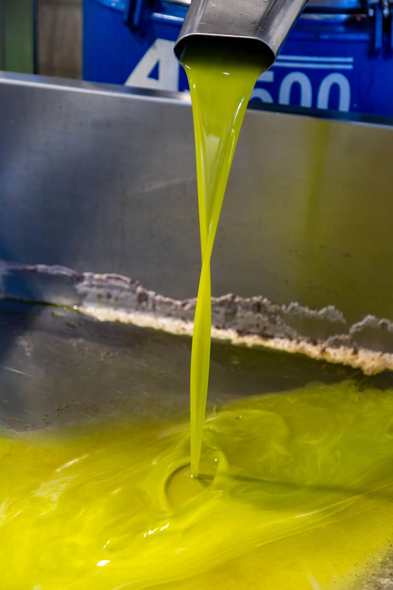 Illustrative photograph: Fresh olive oil flows from a metal spout into a container in an olive mill.